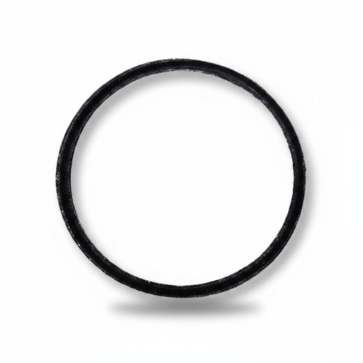 Black circular o-ring on a white background