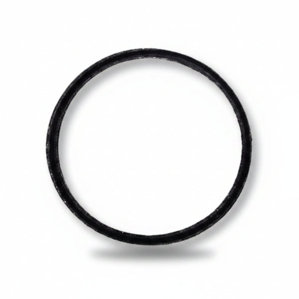 Black circular o-ring on a white background